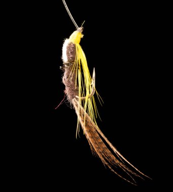 Siyah arka planda balık yakalamak için uç