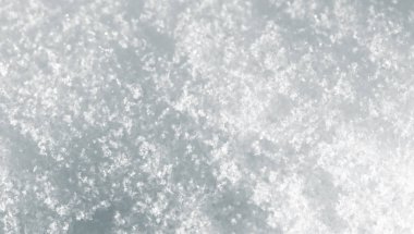 bir fon olarak kar. Makro