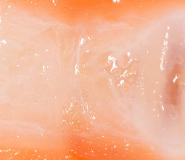 Arka plan olarak Ridge somon