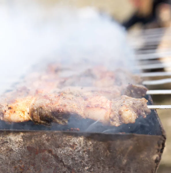 屋外でグリルの肉 — ストック写真