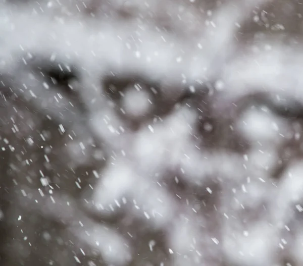 Nieve en el aire como fondo — Foto de Stock