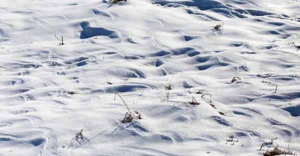Arka plan olarak doğada kar — Stok fotoğraf