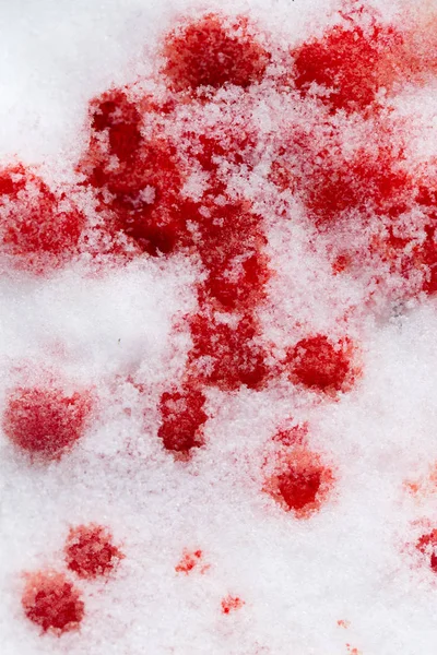 Rött blod på snö — Stockfoto