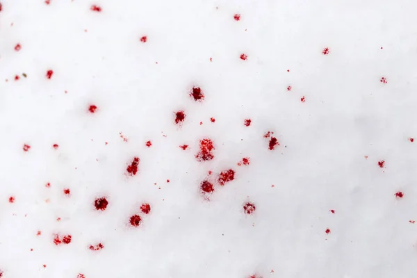 Red blood on the snow — Stock Photo, Image