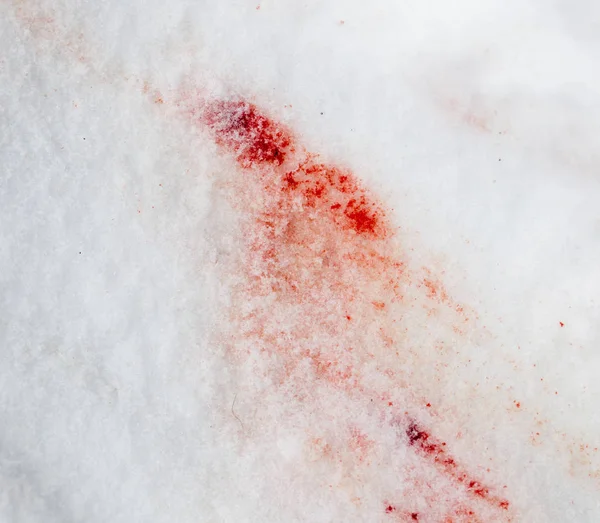 Red blood on the snow — Stock Photo, Image