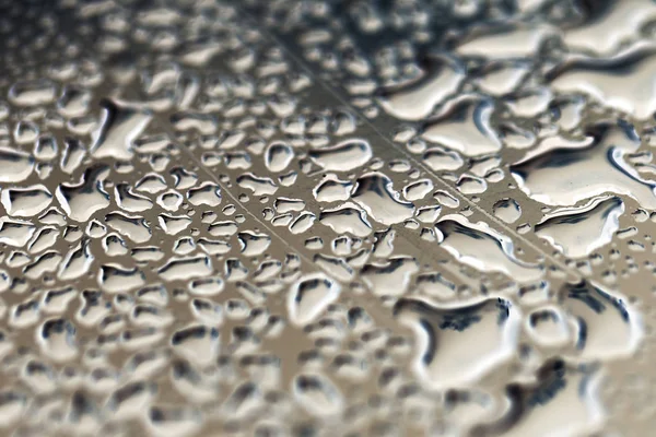 Water drops as background — Stock Photo, Image