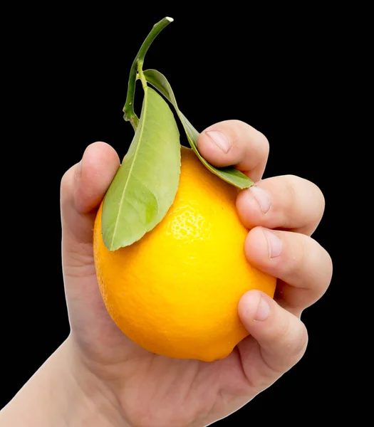 Лимон в руке на черном фоне — стоковое фото