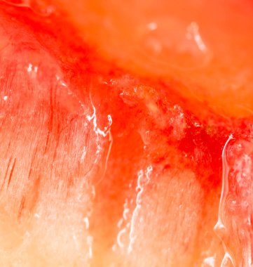 Arka plan olarak sulu şeftali eti. Kapat