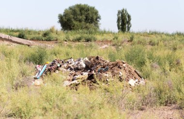 doğada çöp tenekesi