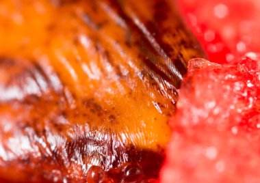 Karpuz Tohumu. Super makro