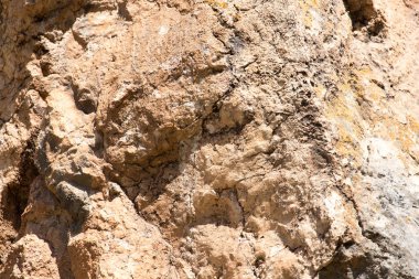 arka plan olarak kayalık kaya