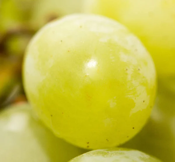 Uvas verdes. primer plano —  Fotos de Stock