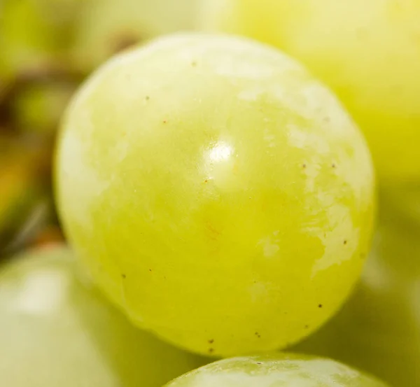 Uvas verdes. primer plano — Foto de Stock