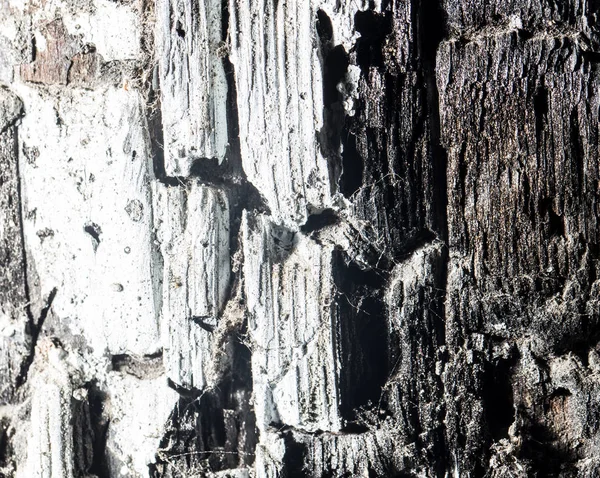 烧焦的木头的背景 — 图库照片