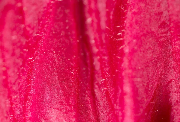 Flor roja. super macro — Foto de Stock