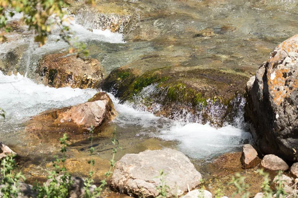 Stones in the water in a river — Stock Photo, Image