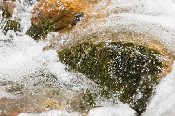 Stenen in het water in een rivier — Stockfoto