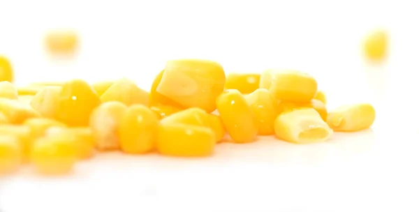 Corn on a white background. close-up — Stock Photo, Image