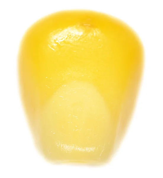 Milho em um fundo branco. close-up — Fotografia de Stock