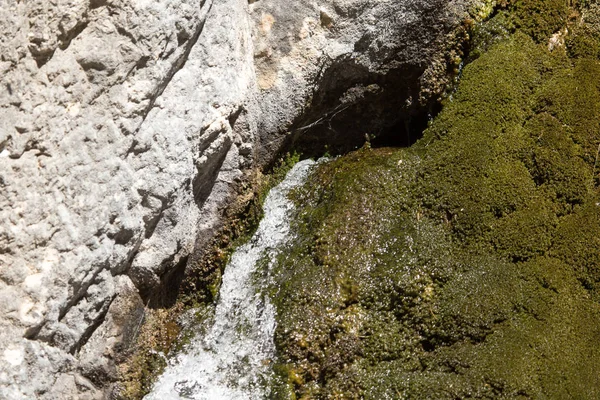 水从春天在山中 — 图库照片