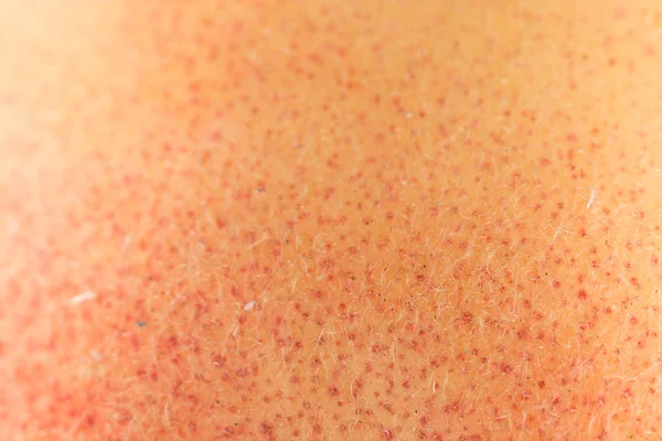 Huden på persika som bakgrund. Stäng — Stockfoto