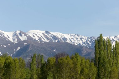 Tien Shan Dağları 'nın karlı zirveleri. Kazakistan