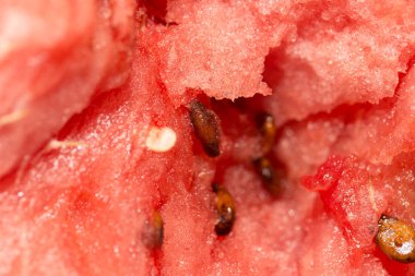 karpuz arka plan olarak. Kapat