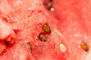 karpuz arka plan olarak. Kapat