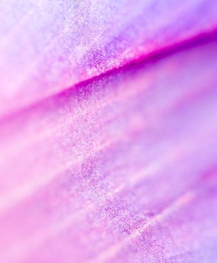 Mavi çiçek bir arka plan olarak. Kapat