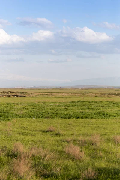 Весна в степях Казахстана — стоковое фото