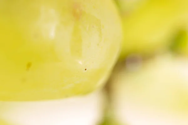 Druiven. Super macro — Stockfoto