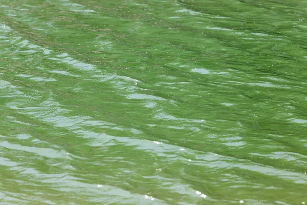 Hintergrund der Wasseroberfläche — Stockfoto