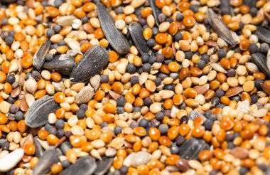 kuşlar için yiyecek. Kapat