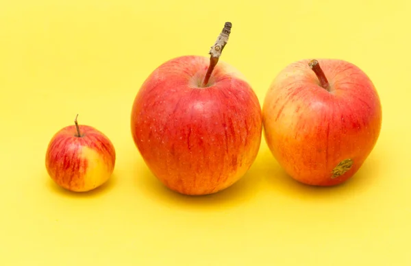 成熟的苹果在一个黄色的背景 — 图库照片