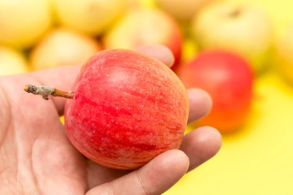 Ripe apples on a yellow background — Stock Photo, Image