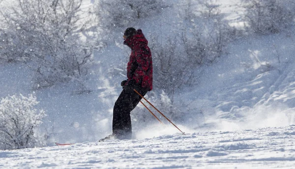 People skiing in the winter — Stock Photo, Image