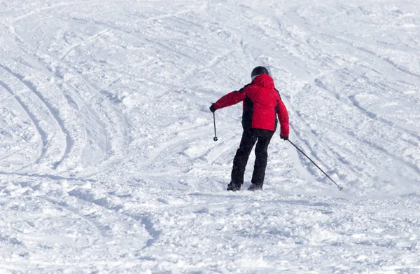 Люди катаються на лижах взимку — стокове фото