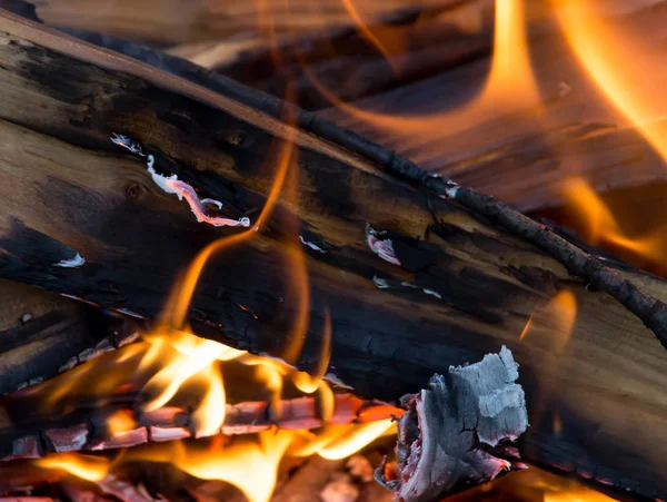 Flames of fire from wood — Stock Photo, Image