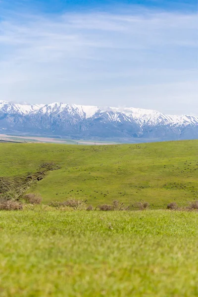 Tien shan karlı dorukları — Stok fotoğraf