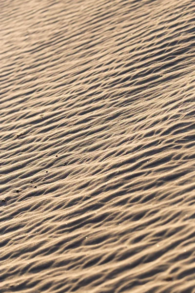 Areia na natureza como pano de fundo — Fotografia de Stock