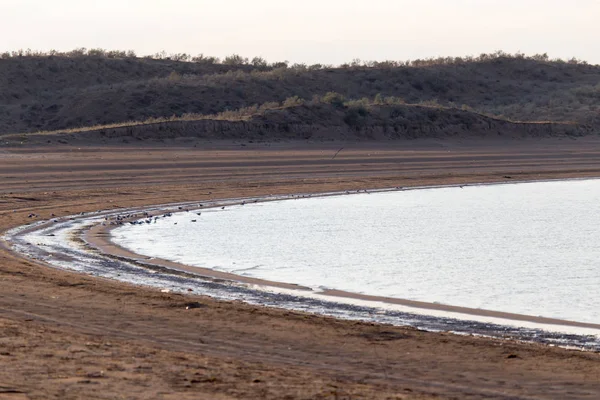 Lac Shardara. Kazakhstan — Photo