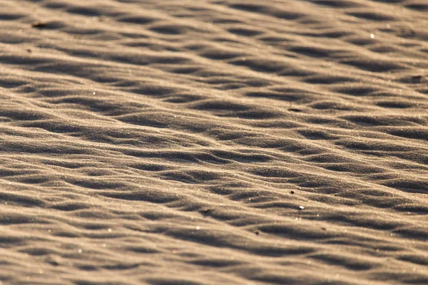 Arena en la naturaleza como fondo —  Fotos de Stock