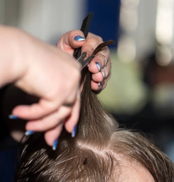 Corte de pelo en el salón de belleza — Stockfoto