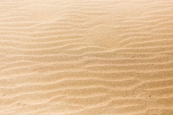 Arena en la naturaleza como fondo — Foto de Stock