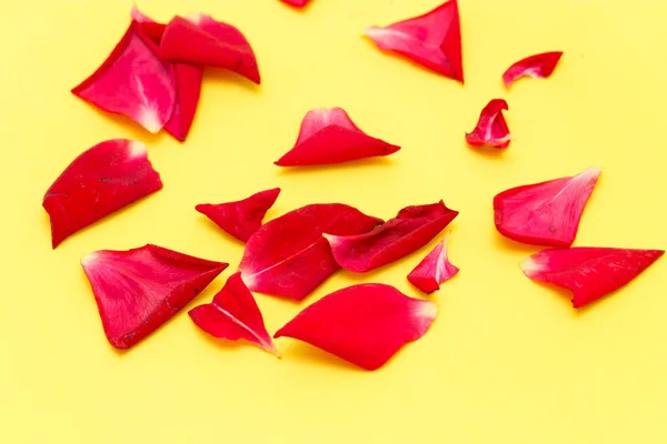 Pétalas de rosa sobre fundo amarelo — Fotografia de Stock