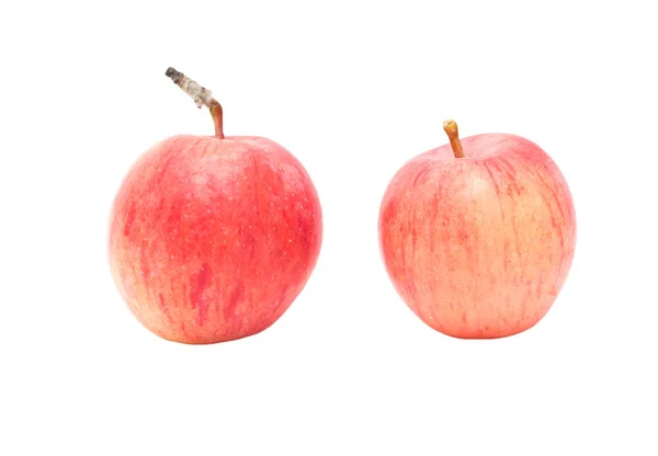 Beyaz zemin üzerinde iki elma — Stok fotoğraf
