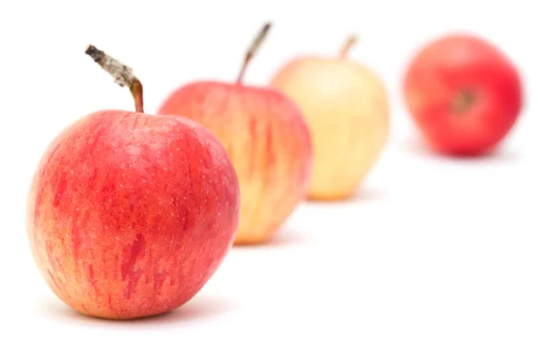 Quatro maçãs em um fundo branco — Fotografia de Stock