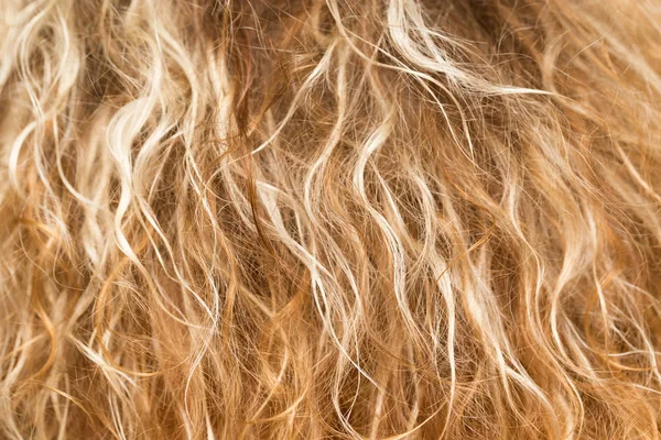 Background blond wavy hair — Stock Photo, Image