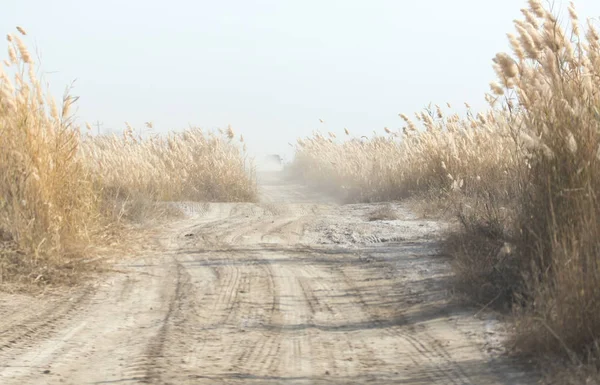 Polvo de la camioneta en la carretera con un bastón — Foto de Stock