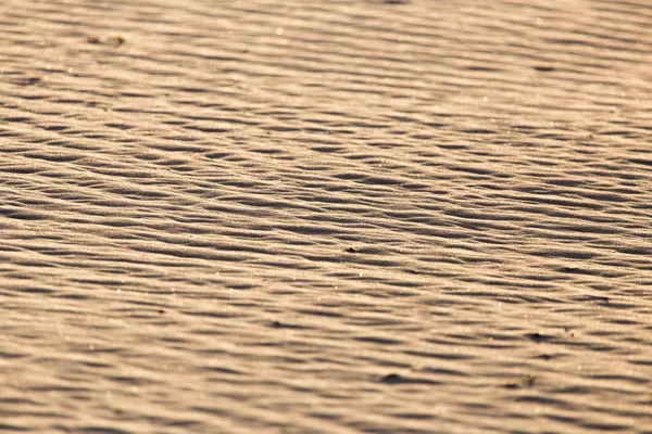 배경으로 자연 속에서 모래 — 스톡 사진